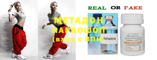 прущие грибы Абинск
