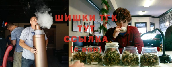 PSILOCYBIN Абаза