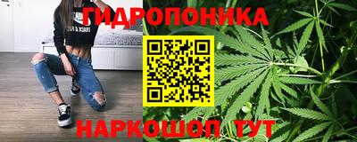 кокс Шебекино