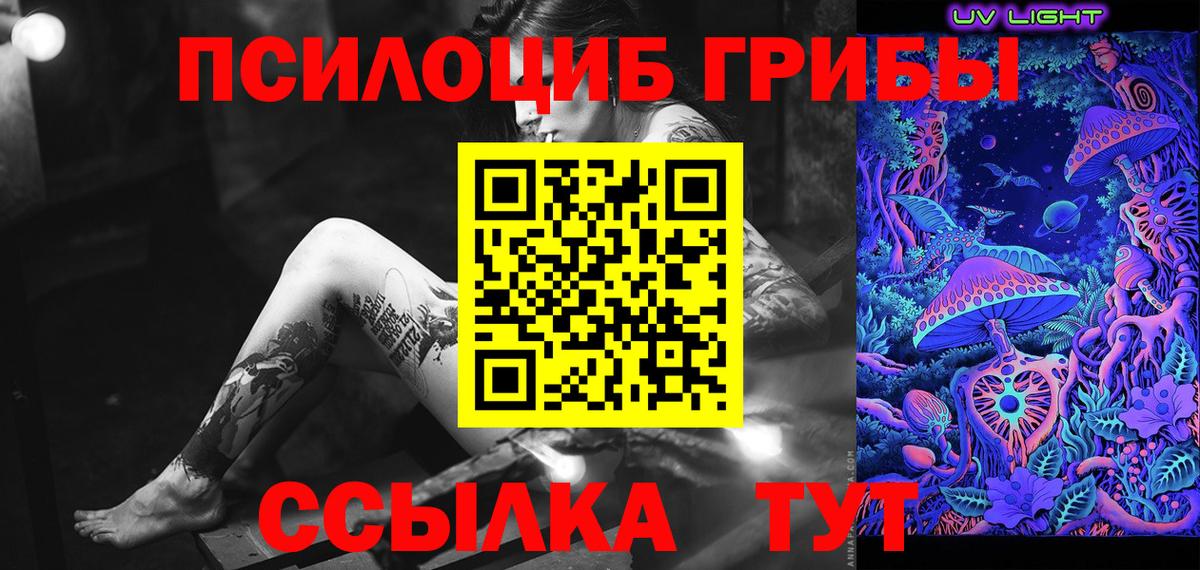 Нарьян-Мар  хочу наркоту  Вход с VPN  Псилоцибиновые грибы Psilocybe 