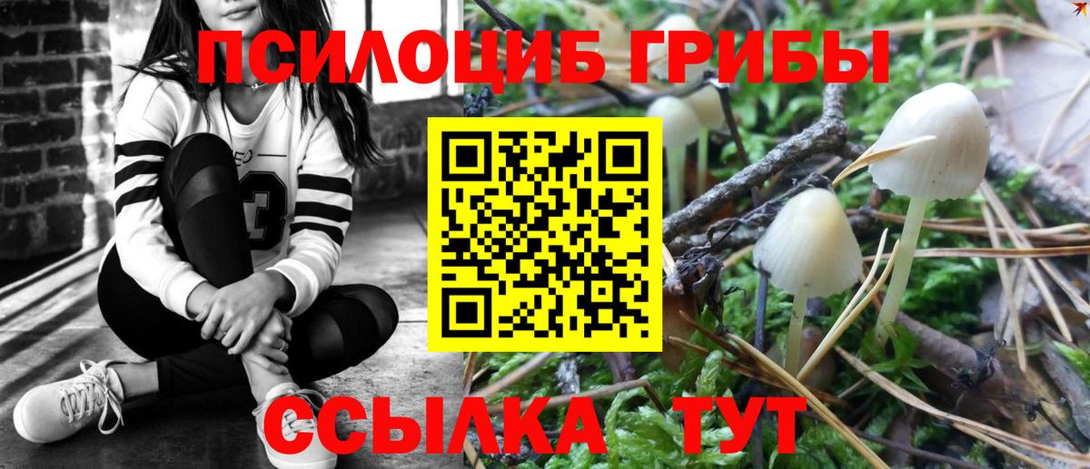 Псилоцибиновые грибы Magic Shrooms Нарьян-Мар