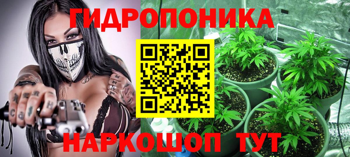 Каннабис Amnesia  Канабис White Widow  Вход с VPN  Нарьян-Мар  Каннабис план 